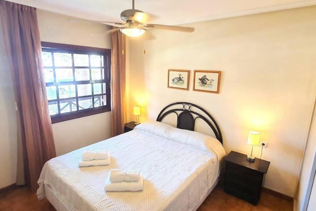 Grazioso Appartamento Parque Albatros 272 سان ميغيل ذي أبونا المظهر الخارجي الصورة
