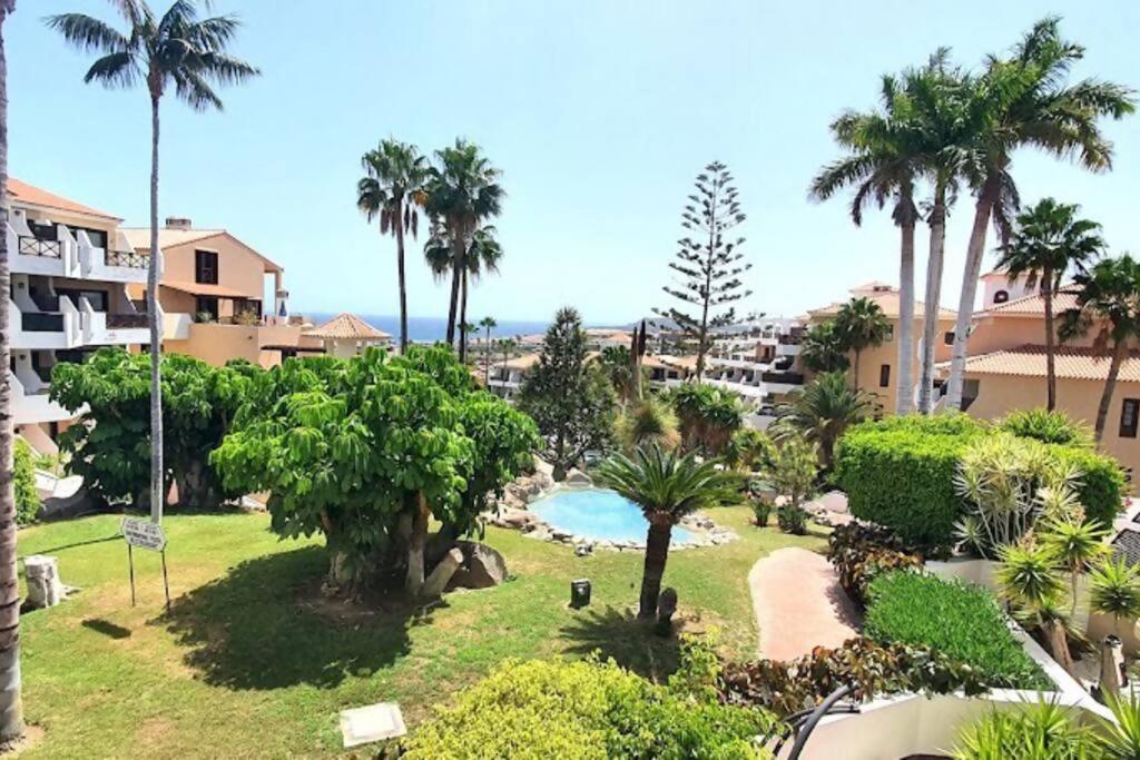 Grazioso Appartamento Parque Albatros 272 سان ميغيل ذي أبونا المظهر الخارجي الصورة